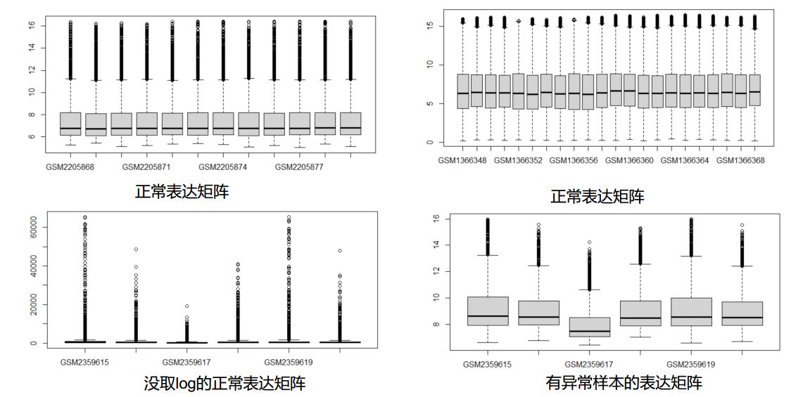 ggplot-1